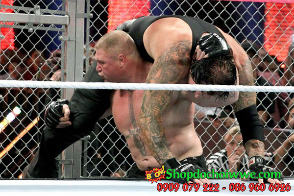 #2 The Undertaker vs. Brock Lesnar - Hell in a Cell 2015